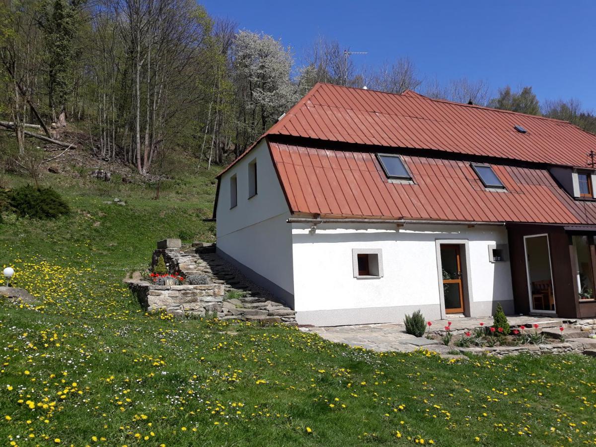 Pokoje Goscinne Thank You Life, Apartament 2 Forest For Rest Bystrzyca Kłodzka Exterior foto