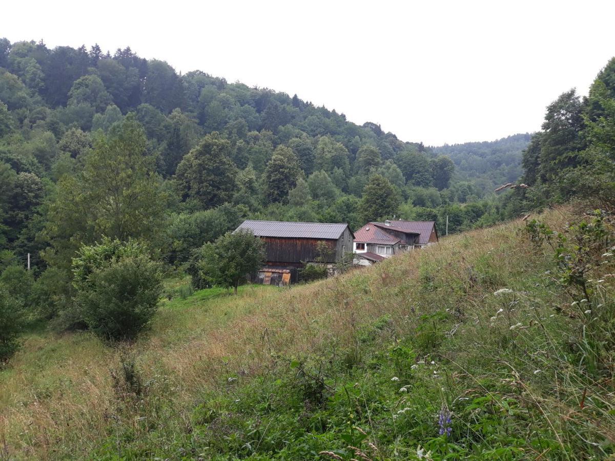 Pokoje Goscinne Thank You Life, Apartament 2 Forest For Rest Bystrzyca Kłodzka Exterior foto